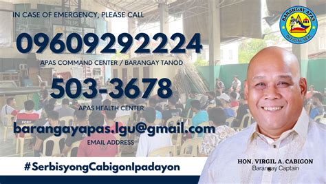 cebu city barangay captains|Barangay Apas .